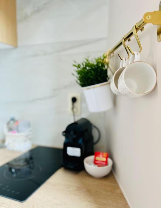Charmant Petit Appartement. Liège Dış mekan fotoğraf