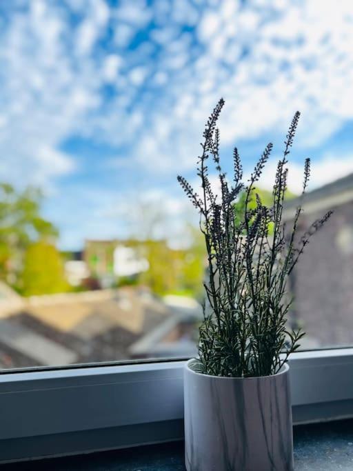 Charmant Petit Appartement. Liège Dış mekan fotoğraf