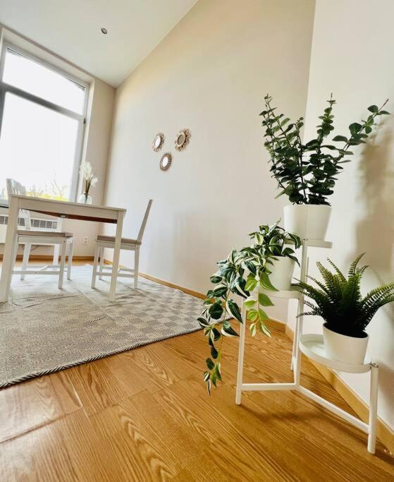 Charmant Petit Appartement. Liège Dış mekan fotoğraf